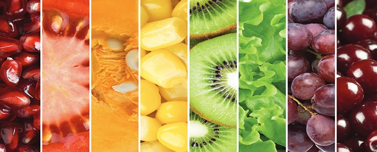 Dietitian Fruit Banner