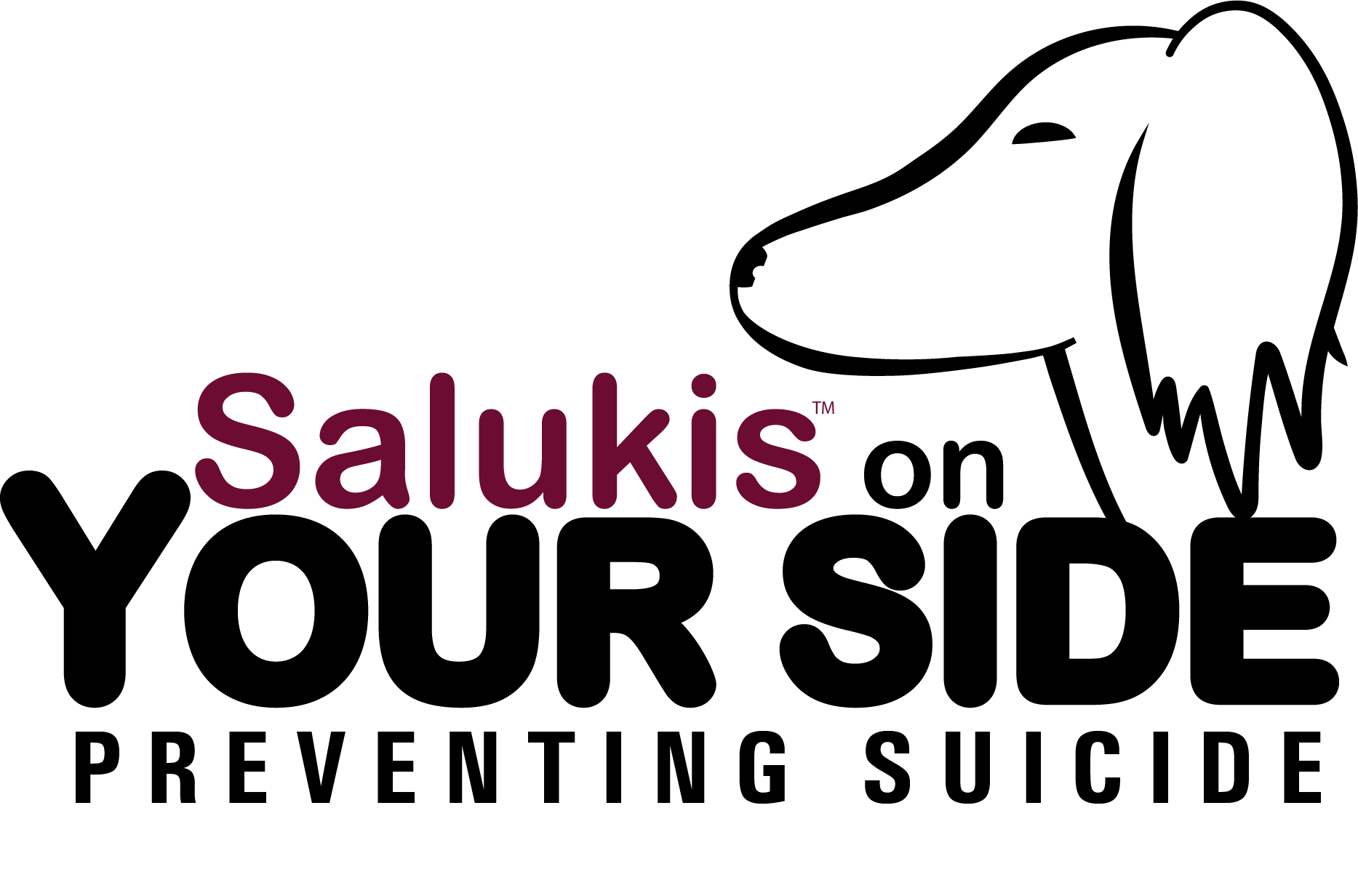 Salukis on Your Side